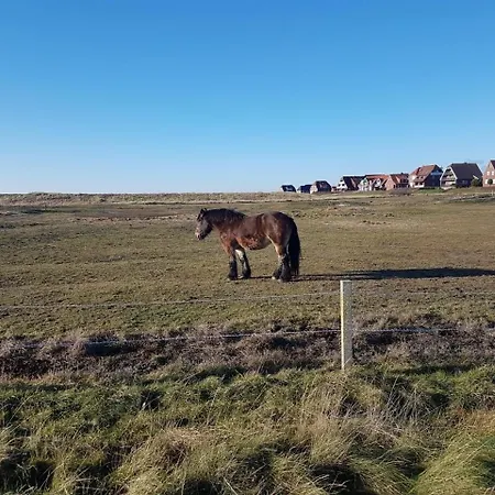 Mien Droem Baltrum, Whg 1 * 발트룸